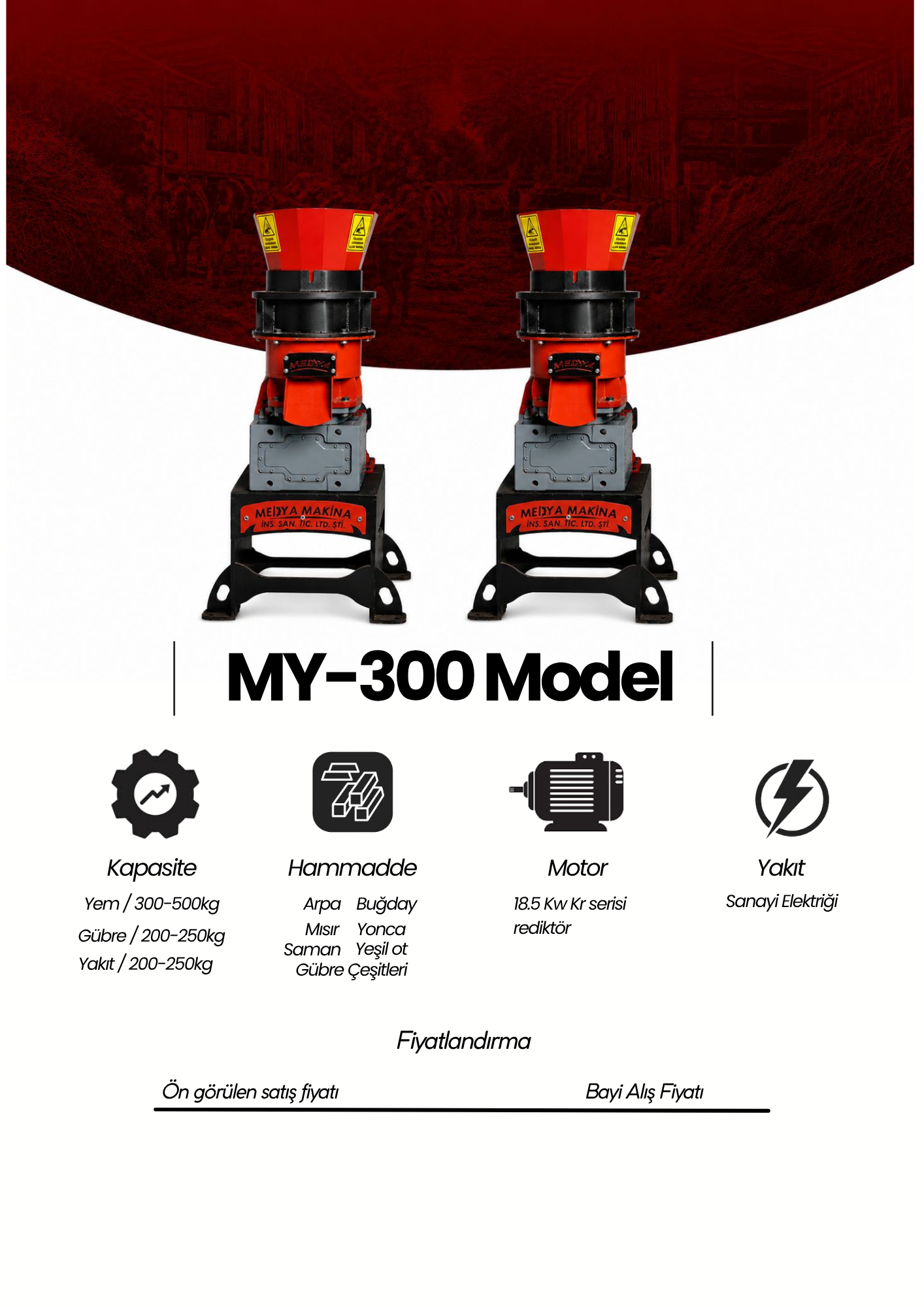 MY-300 Yem Pelet Makinası